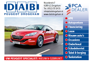 Vrolijke Strijders Sponsor DAB Peugeot Drogeham